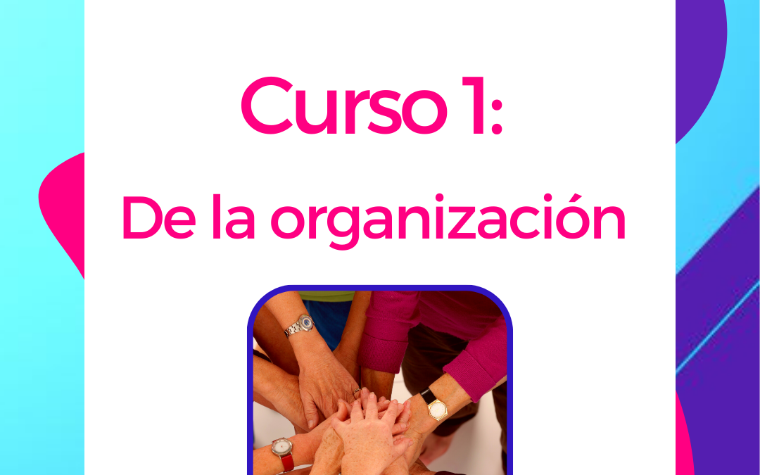 Curso 1: De la organización